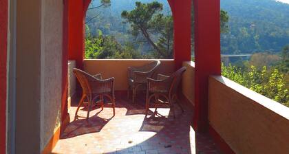 "Casabelladona: Beautiful villa surrounded by forest at the city's edge."