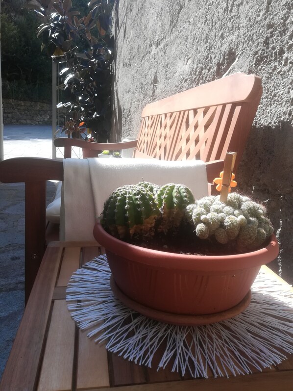 A terracotta pot with two cacti on a wooden table, a wooden chair with a white cushion, and a stone wall in the background.