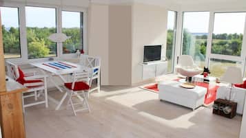 TV, DVD player, books, music library