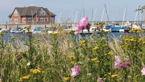 A coastal building with a red brick facade and a pitched roof, surrounded by a marina with several boats. - Light-flooded apartment with private sauna! Beach walking distance, with dog! (Hohenkirchen)