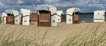 Light-flooded apartment with private sauna! Beach walking distance, with dog!