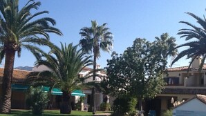 A swimming pool surrounded by palm trees and a building with a tiled roof.