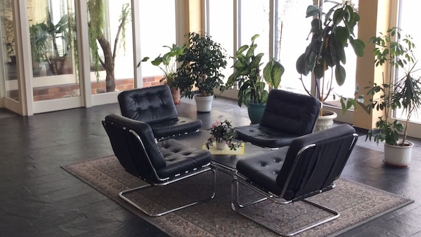 A spacious room with a modern black leather sofa set, a coffee table, and several potted plants. - 2-room, internet, 3 beds, mountain view and garage (Bad Reichenhall)