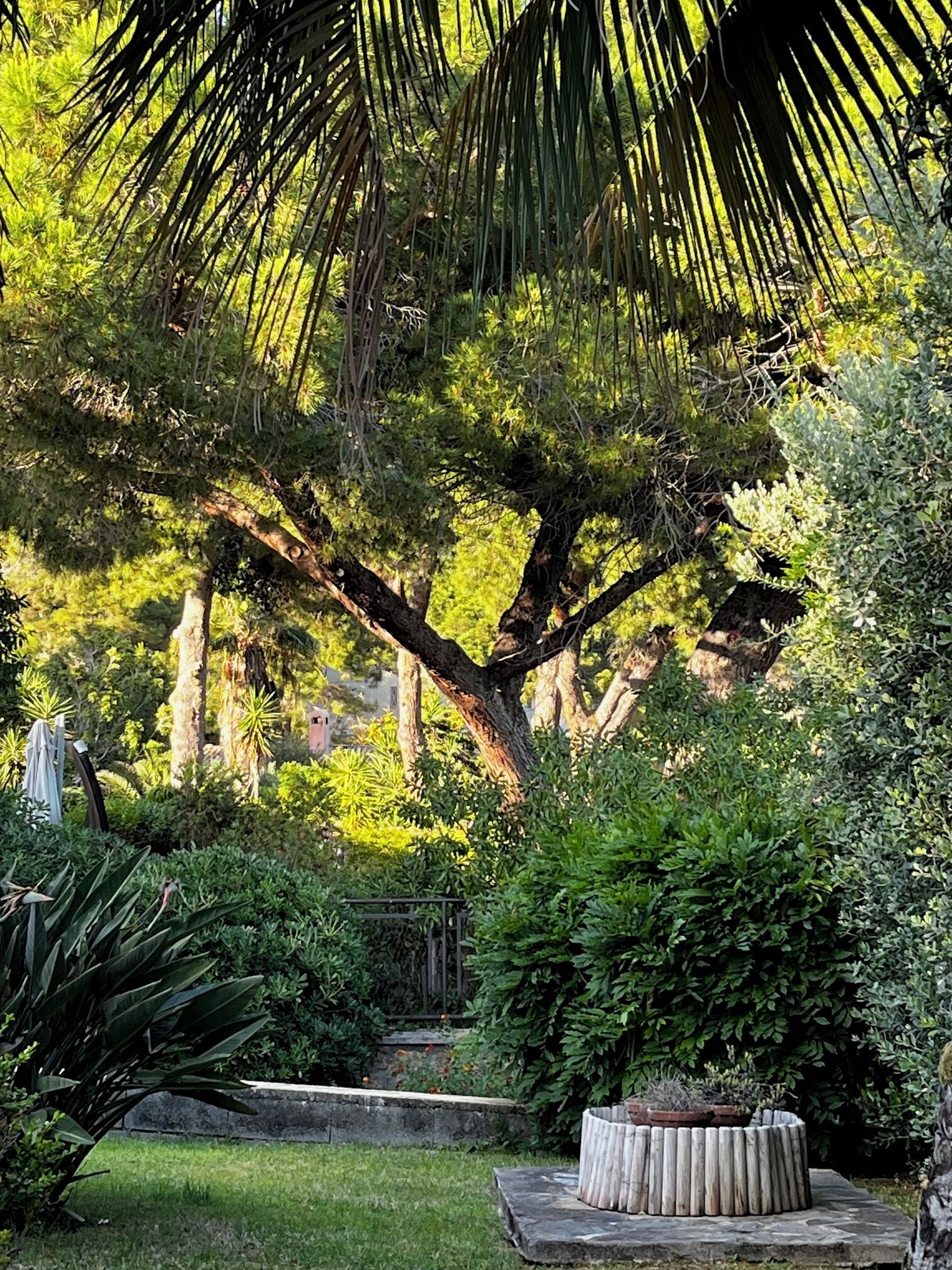 Jardines del alojamiento