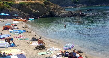 COLLIOURE T3 FĂSSE IM WASSER DIREKTER ZUGANG ZUR WIFI-PRIVATGARAGE AM STRAND