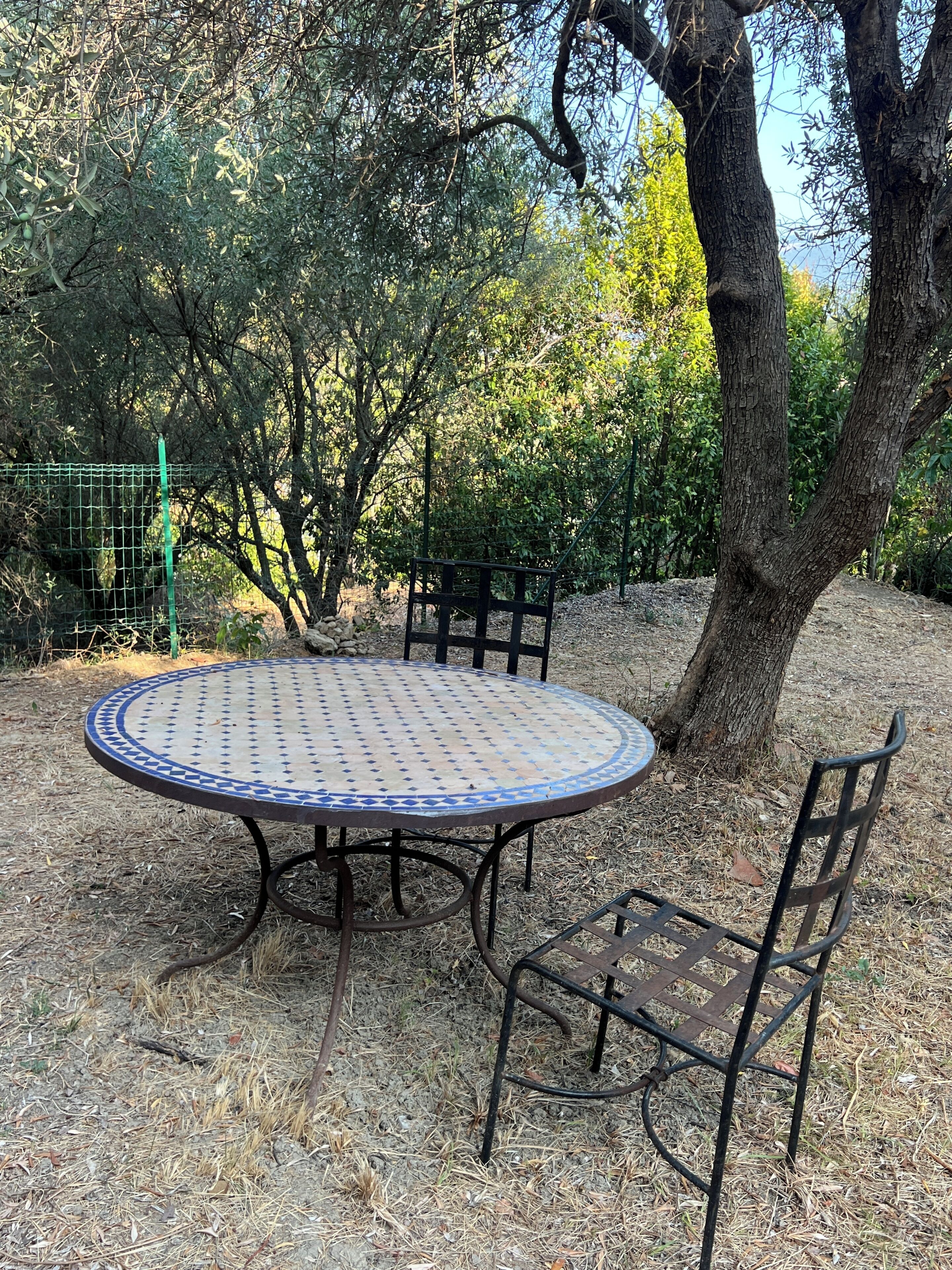 A round outdoor table with a patterned top, surrounded by metal chairs, set on a ground covered with dry grass and leaves, with trees and a fence in the background.