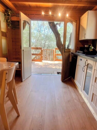 Côte d'Azur: Charmantes Chalet auf dem Land zwischen Cannes Grasse Nizza Monaco