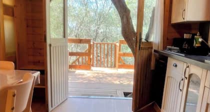 Côte d'Azur: Charmantes Chalet auf dem Land zwischen Cannes Grasse Nizza Monaco