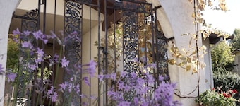 The Pineapple House -Best Reviews- Cozy Firepit!