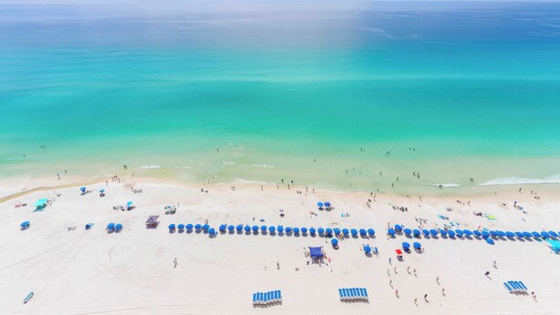 Une plage bordée de rangées de parasols bleus et de chaises longues, un rivage sablonneux et l’océan.