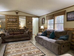 Smart TV, DVD player, books, video library