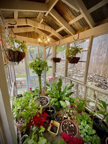 Cozy Studio Cottage - Near Floores Country Store, SeaWorld and Fiesta Texas