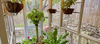 Cozy Studio Cottage - Near Floores Country Store, SeaWorld and Fiesta Texas