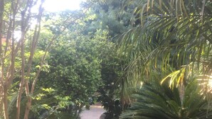 A paved pathway flanked by lush greenery and a brick wall. - Solar powered. Large Garden Apartment, Central & Secure Neighbourhood. (Johannesburg)