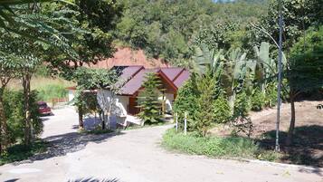 Un camino rural que lleva a una casa con techo rojo, rodeada de exuberante follaje y árboles.