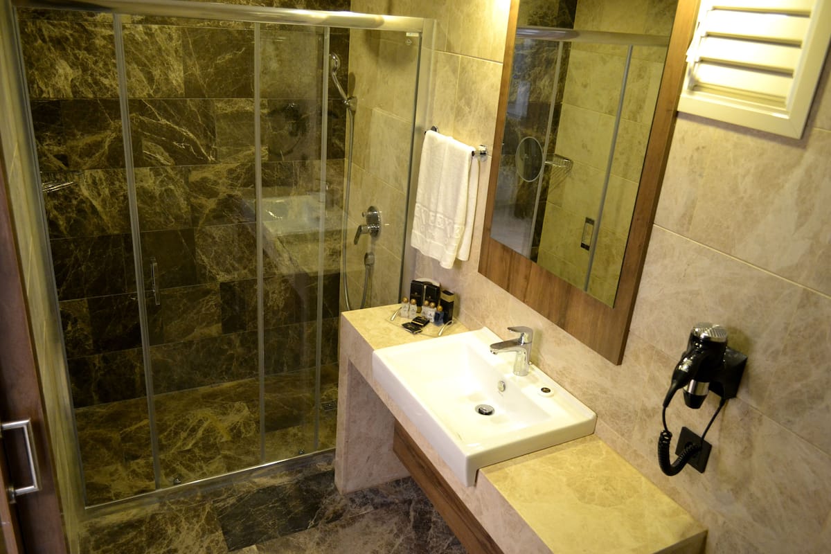 shower, free toiletries, hair dryer, slippers