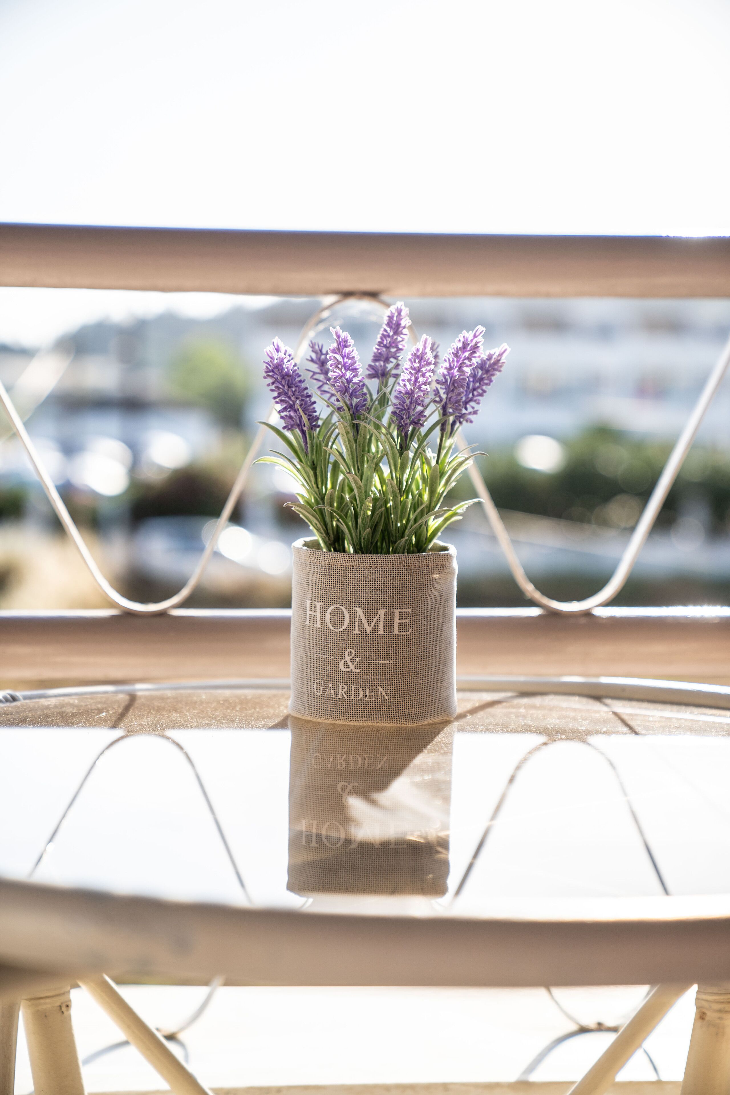 A potted lavender plant on a glass table with a metal frame, set against a blurred background.