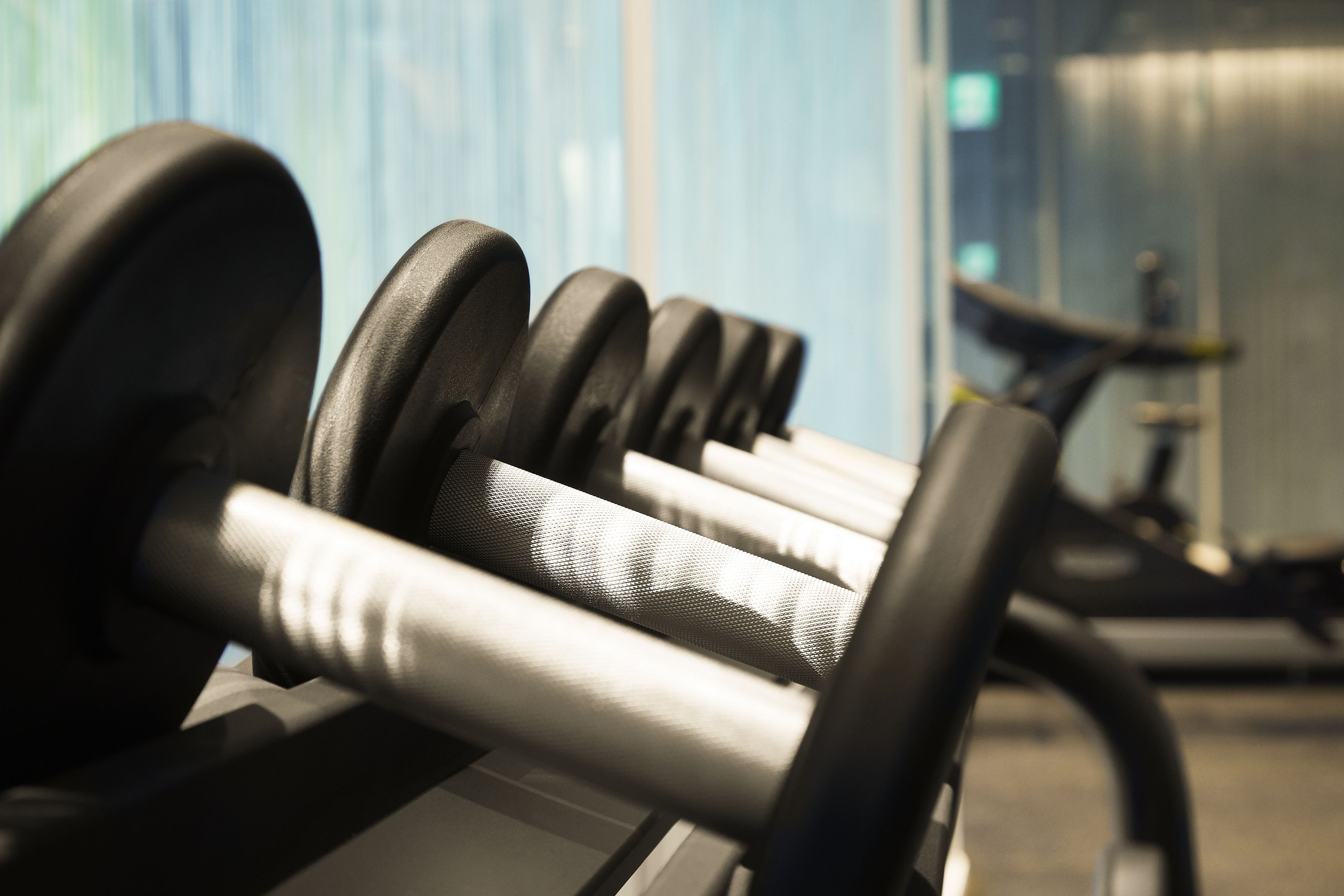 A row of black dumbbells on a rack in a gym.