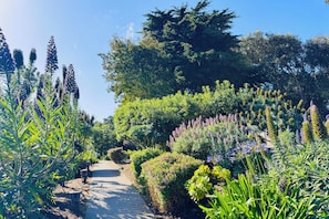 Ein Gartenweg, umgeben von verschiedenen Pflanzen und Bäumen.
