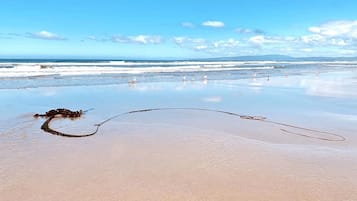 Na praia, espreguiçadeiras, toalhas de praia