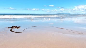 På stranden, solstolar och strandhanddukar