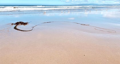 Condominio premium de nivel superior frente al mar con vista al mar sin obstáculos de 180 °