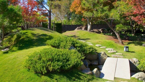 A well-maintained garden with a stone pathway, neatly trimmed bushes, and a variety of trees with autumn foliage.