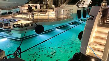 Piscine extérieure
