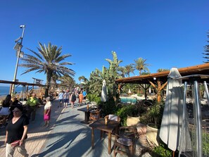 Un paseo marítimo con palmeras, asientos al aire libre y una zona de piscina.