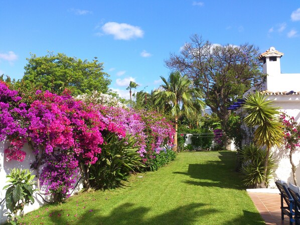 Un jardín con un sendero, abundante vegetación y plantas florecientes.