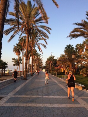 Un sendero pavimentado bordeado de palmeras que conduce a una zona de playa.