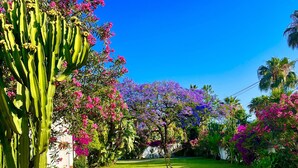 A well-maintained garden with a cactus, flowering trees, and a neatly trimmed lawn. - ´Beach & Golf' Large Family Villa, Huge Garden, Private Pool, 350m to the Beach. (Marbella)
