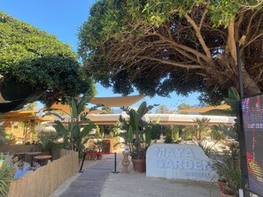 المنطقة المحيطة بالمنشأة