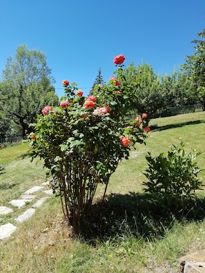 Property grounds - Val D'Allos mountain chalet for 8 people (Villars-Colmars)