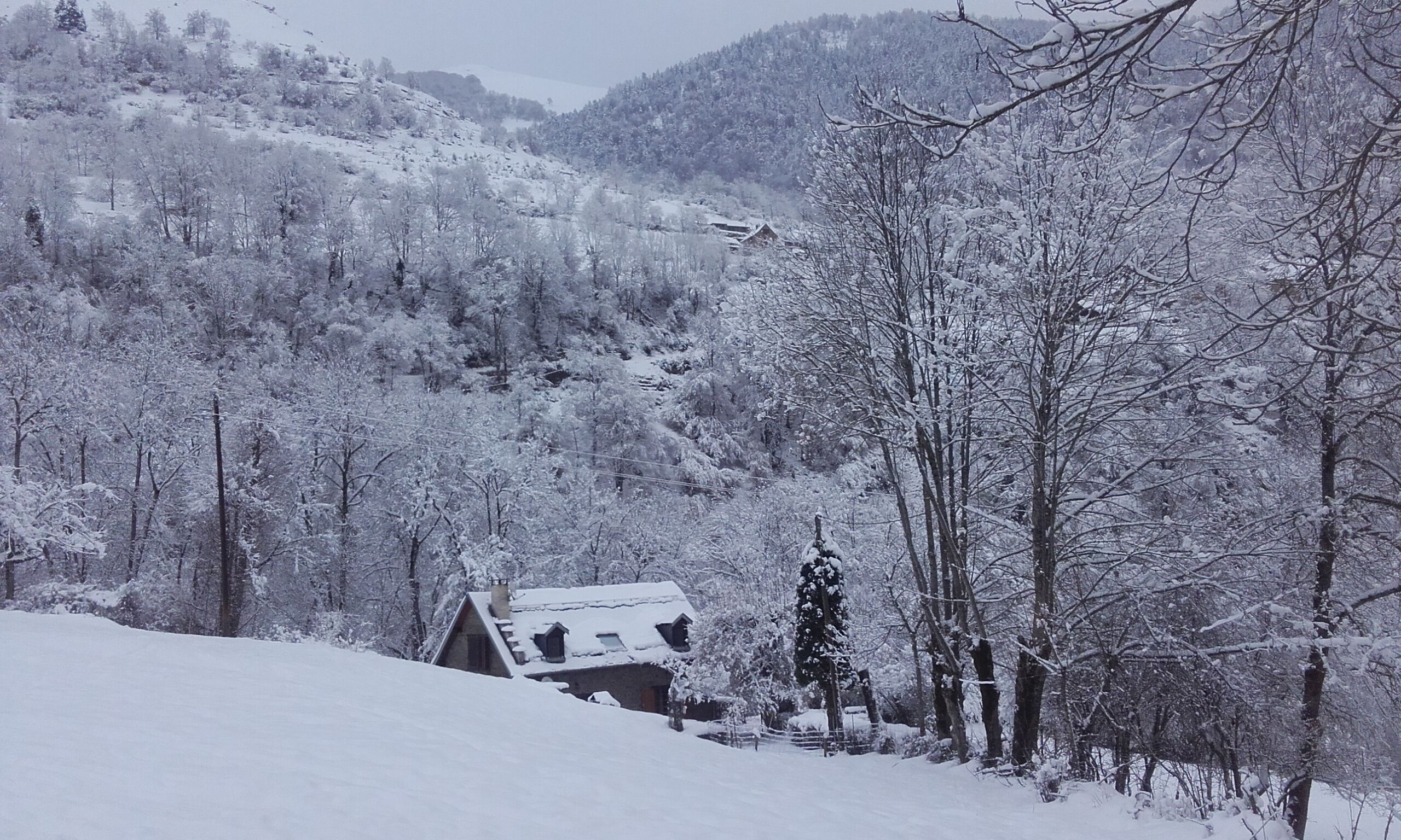 Vue générale de l'environnement
Calme et reposant