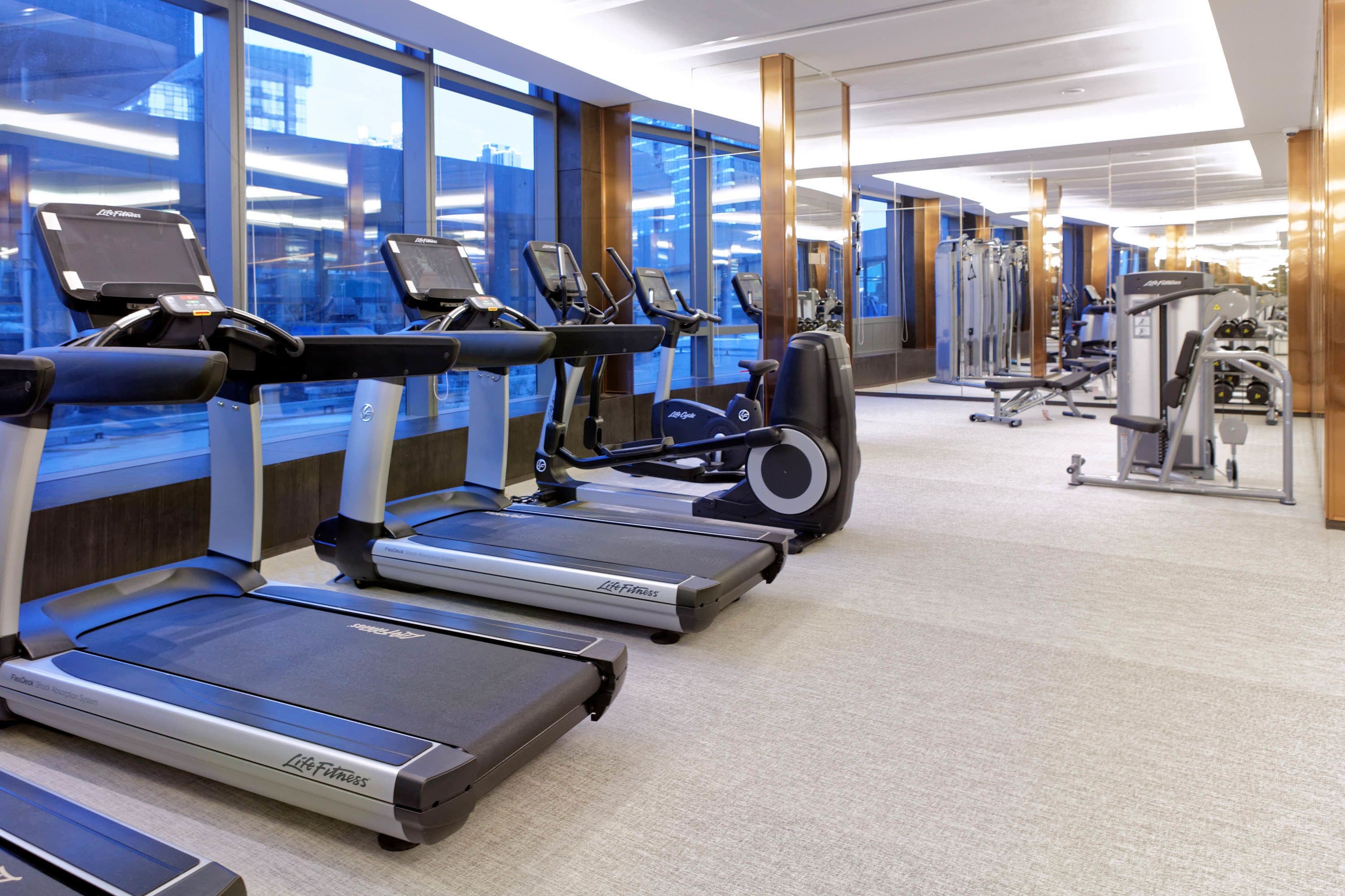 A gym with treadmills, elliptical machines, and weight equipment.