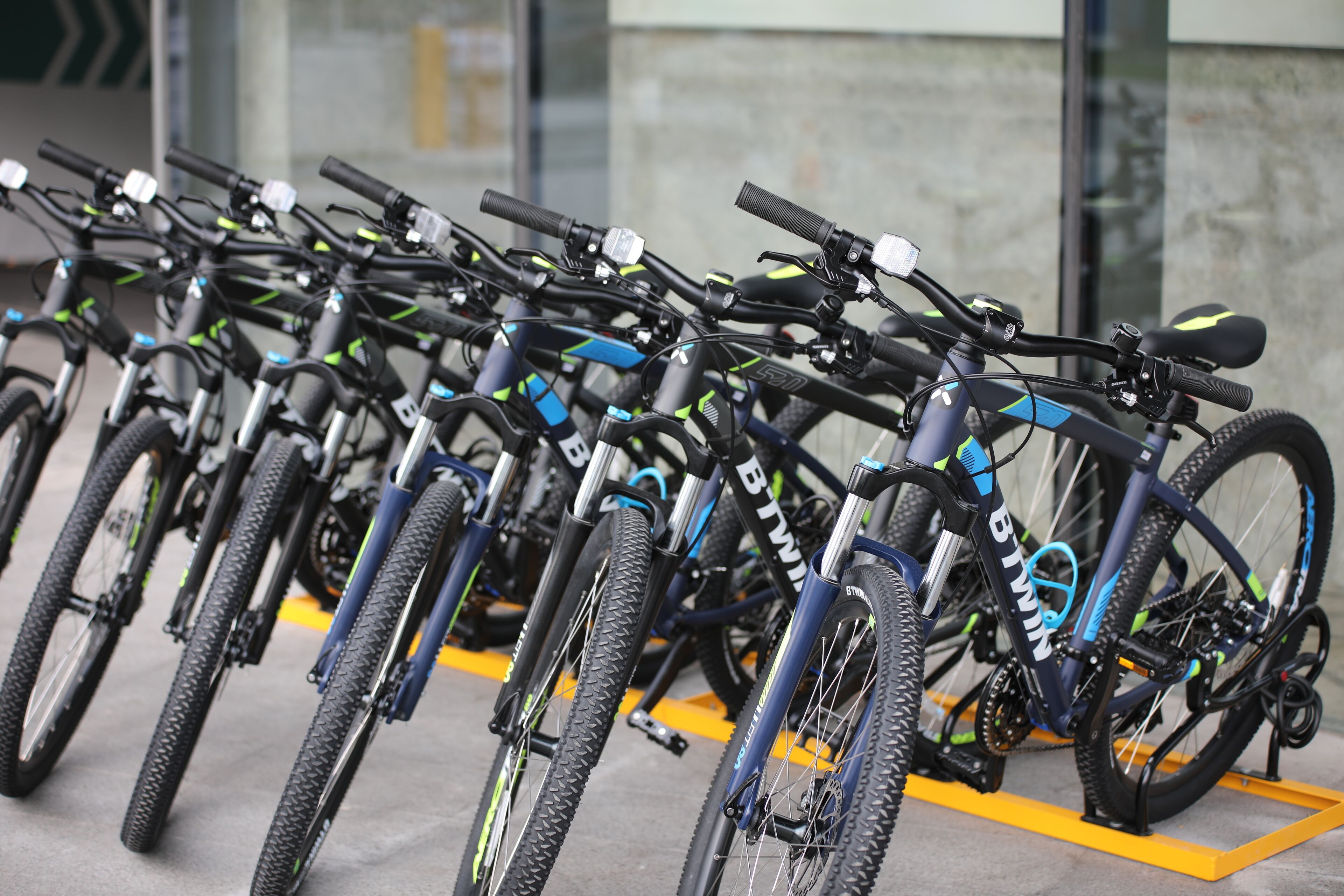 Varias bicicletas estacionadas en un área designada.