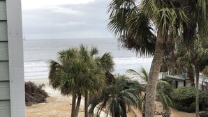 A beach view with palm trees and a pathway leading to a seating area. - Ocean Views, Steps to the Beach & GP Pools, Monthly Long Term discounts (Isle of Palms)