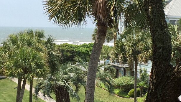A landscaped area with palm trees, a pathway, and a view of the ocean. - Ocean Views, Steps to the Beach & GP Pools, Monthly Long Term discounts (Isle of Palms)