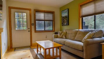 Smart TV, fireplace, books, stereo
