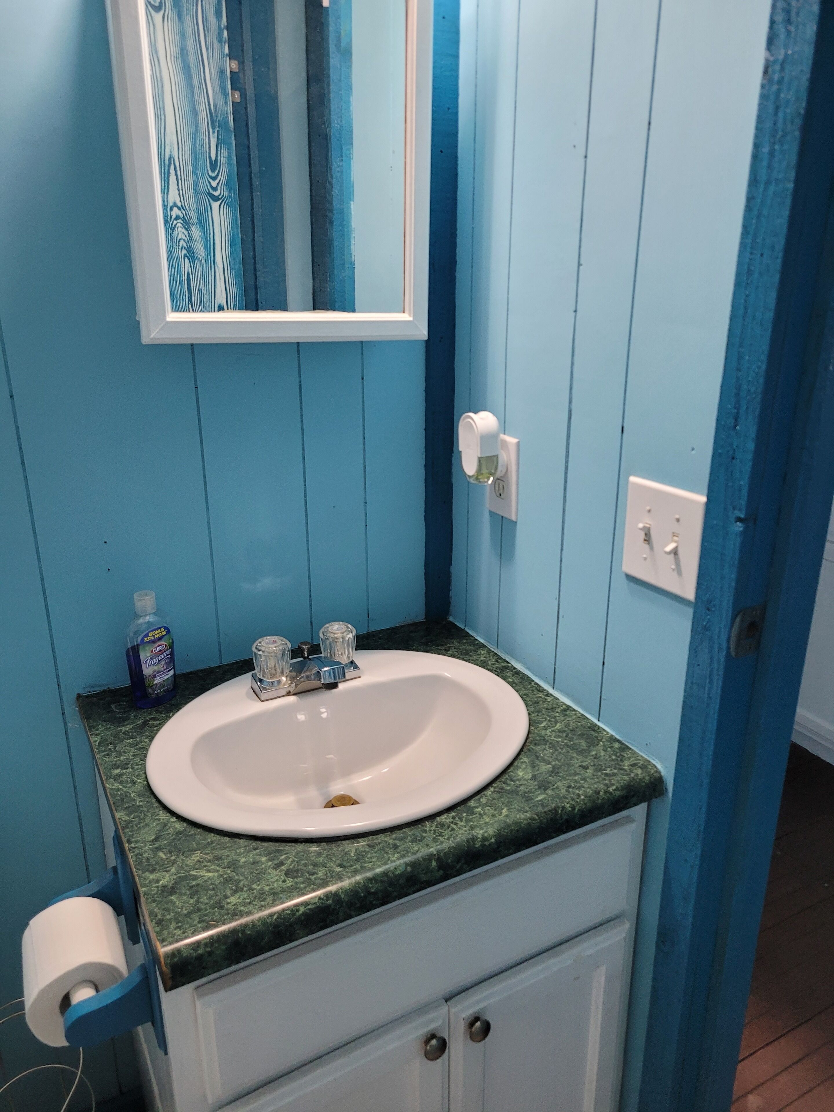 Shower, towels, toilet paper