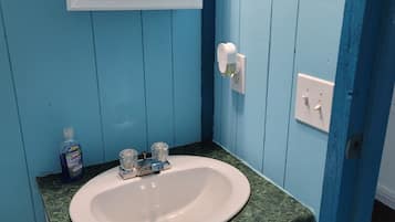 Shower, towels, toilet paper