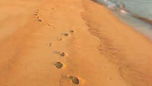 A sandy beach with footprints leading towards the water. - Eden's Edge Lodge (Riwaka)