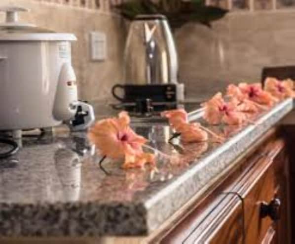 A kitchen counter with a slow cooker, a coffee maker, and a row of pink flowers. - Seashell Beach Villa (Praslin Island)