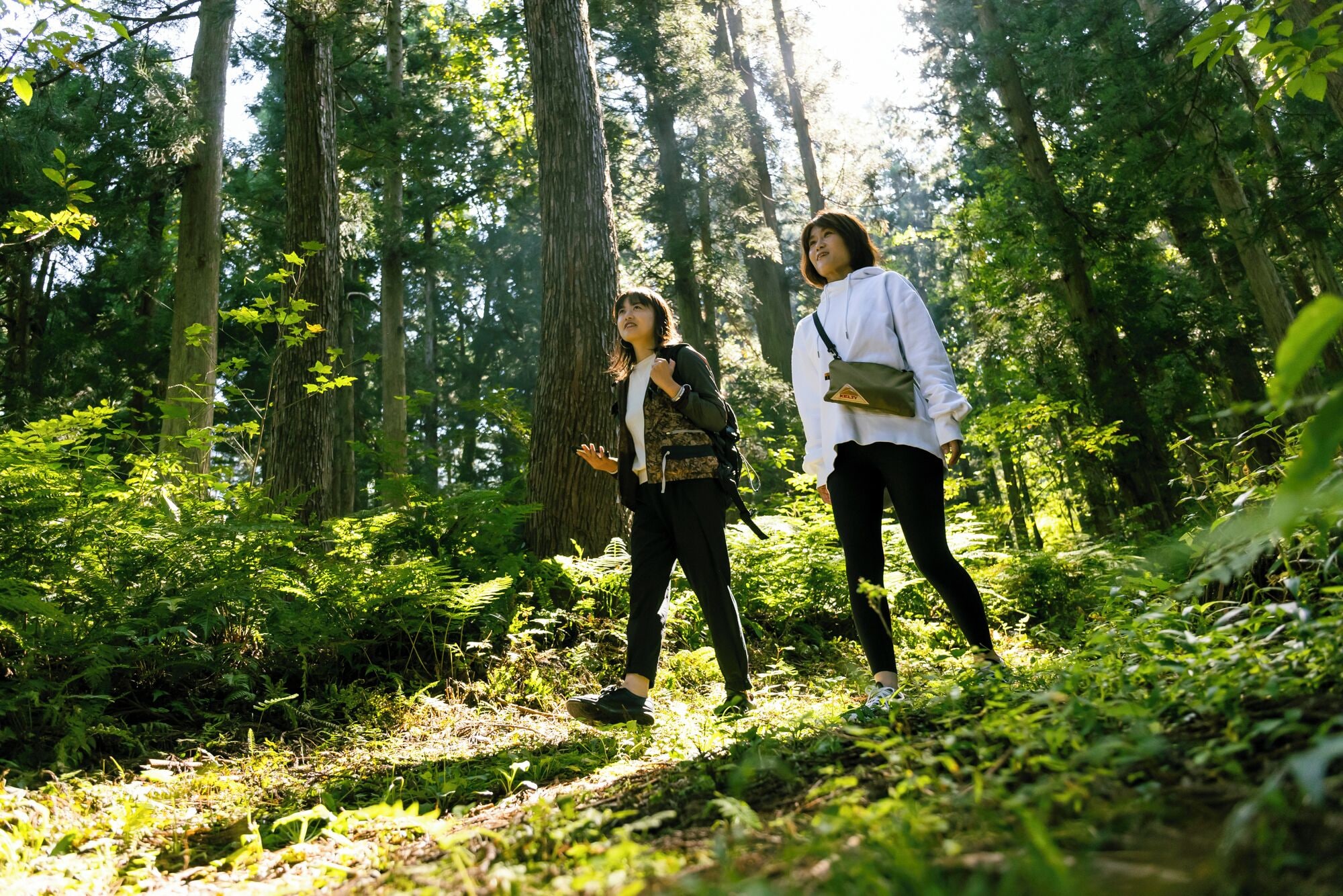 Dos personas caminando en un área boscosa.