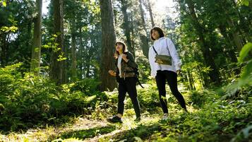 Dos personas caminando en un área boscosa.