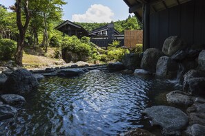 Public bath - Ryugon (Minamiuonuma)