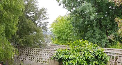 Healesville House - Fig Tree House