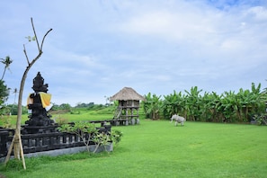 View from property - Villa Agong (Canggu)