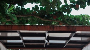 A person performing a massage on another person seated on a massage table under a canopy with a view of a beach and forest. - Pak Nam Resort (La-ngu)
